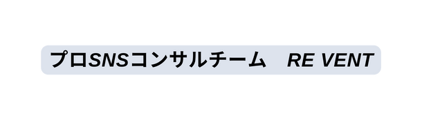 プロSNSコンサルチーム RE VENT